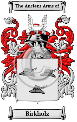 Birkholz Family Crest/Coat of Arms