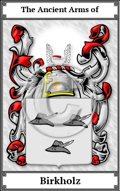 Birkholz Family Crest Download (JPG) Book Plated - 600 DPI