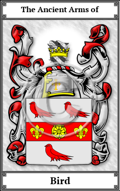 Bird Family Crest Download (JPG) Book Plated - 600 DPI