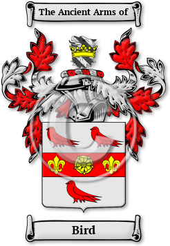 Bird Family Crest Download (JPG) Legacy Series - 600 DPI