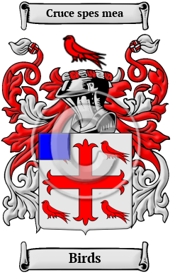 Birds Family Crest/Coat of Arms