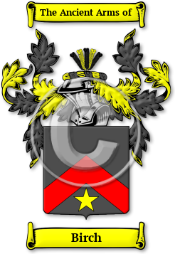 Birch Family Crest Download (jpg) Legacy Series - 150 DPI