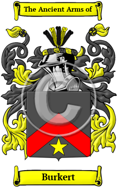Burkert Family Crest Download (JPG) Heritage Series - 600 DPI