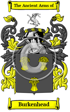 Burkenhead Family Crest/Coat of Arms
