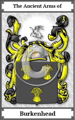 Burkenhead Family Crest Download (JPG) Book Plated - 600 DPI