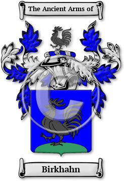 Birkhahn Family Crest Download (jpg) Legacy Series - 150 DPI