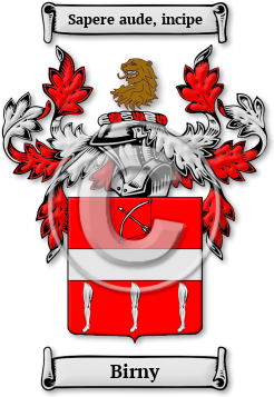 Birny Family Crest Download (JPG) Legacy Series - 600 DPI