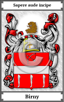 Birny Family Crest Download (JPG)  Book Plated - 150 DPI