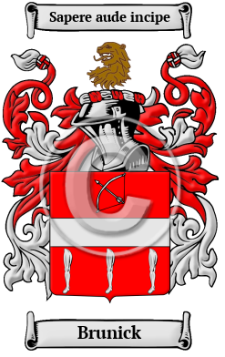 Brunick Family Crest/Coat of Arms