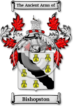 Bishopston Family Crest Download (jpg) Legacy Series - 150 DPI