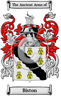 Biston Family Crest Download (JPG) Heritage Series - 600 DPI