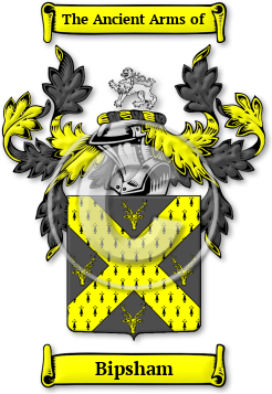 Bipsham Family Crest Download (jpg) Legacy Series - 150 DPI