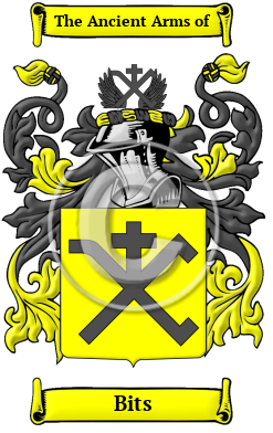 Bits Family Crest Download (JPG) Heritage Series - 600 DPI