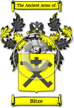 Bitze Family Crest Download (jpg) Legacy Series - 150 DPI