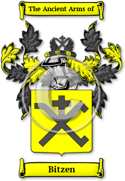 Bitzen Family Crest Download (JPG) Legacy Series - 600 DPI