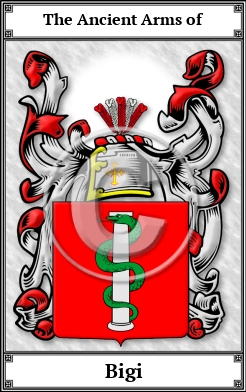 Bigi Family Crest Download (JPG) Book Plated - 300 DPI