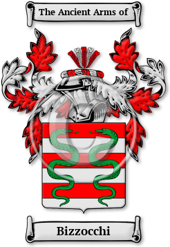 Bizzocchi Family Crest Download (jpg) Legacy Series - 150 DPI