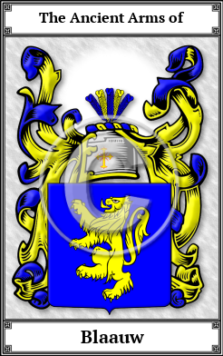 Blaauw Family Crest Download (JPG)  Book Plated - 150 DPI