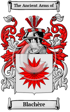 Blachère Family Crest Download (JPG) Heritage Series - 600 DPI