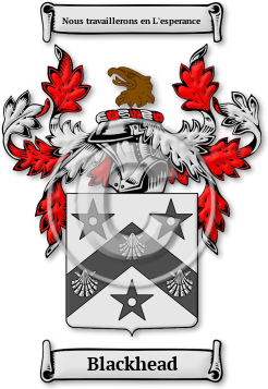 Blackhead Family Crest Download (jpg) Legacy Series - 150 DPI