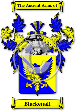 Blackenall Family Crest Download (jpg) Legacy Series - 150 DPI