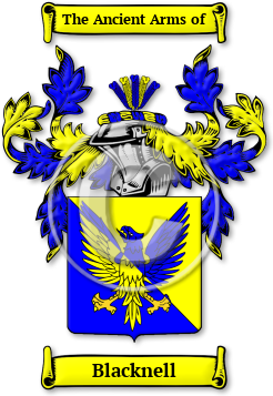 Blacknell Family Crest Download (jpg) Legacy Series - 150 DPI