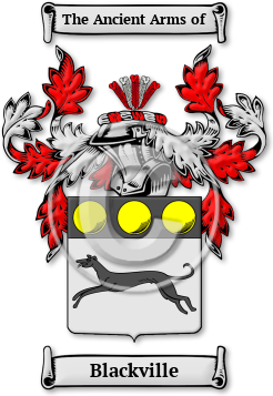 Blackville Family Crest Download (JPG) Legacy Series - 600 DPI