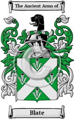 Blate Family Crest Download (JPG) Heritage Series - 600 DPI