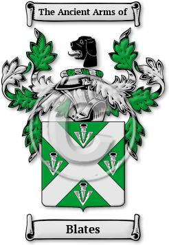 Blates Family Crest Download (jpg) Legacy Series - 150 DPI