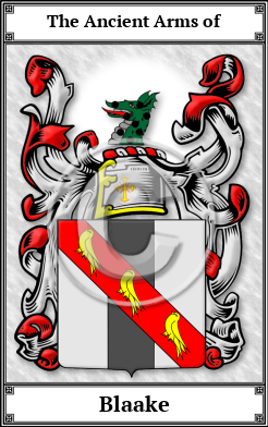 Blaake Family Crest Download (JPG) Book Plated - 600 DPI