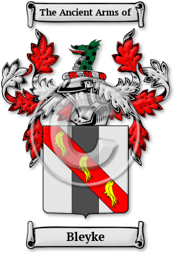 Bleyke Family Crest Download (jpg) Legacy Series - 150 DPI