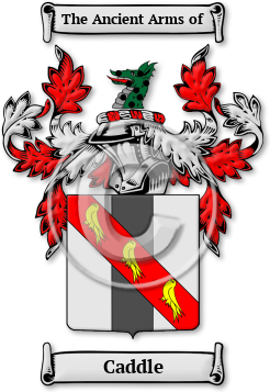 Caddle Family Crest Download (jpg) Legacy Series - 150 DPI