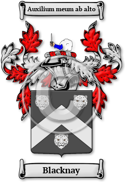 Blacknay Family Crest Download (jpg) Legacy Series - 150 DPI