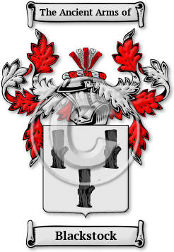 Blackstock Family Crest Download (JPG) Legacy Series - 600 DPI