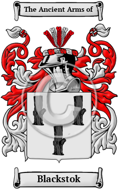 Blackstok Family Crest Download (JPG) Heritage Series - 600 DPI