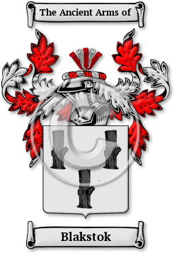 Blakstok Family Crest Download (jpg) Legacy Series - 150 DPI