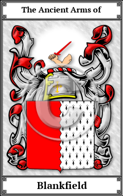 Blankfield Family Crest Download (JPG)  Book Plated - 150 DPI