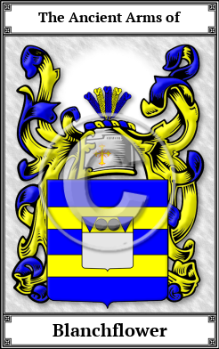 Blanchflower Family Crest Download (JPG)  Book Plated - 150 DPI