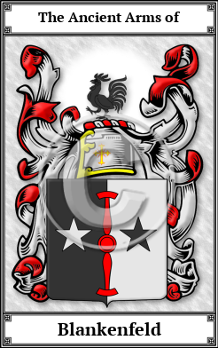 Blankenfeld Family Crest Download (JPG) Book Plated - 600 DPI