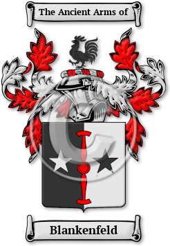 Blankenfeld Family Crest Download (JPG) Legacy Series - 600 DPI