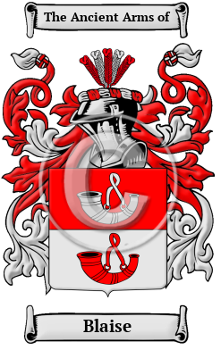 Blaise Family Crest Download (JPG) Heritage Series - 600 DPI