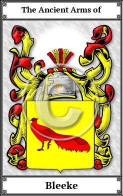 Bleeke Family Crest Download (JPG)  Book Plated - 150 DPI