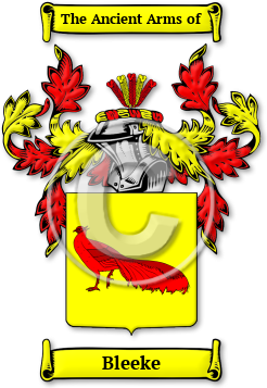 Bleeke Family Crest Download (jpg) Legacy Series - 150 DPI