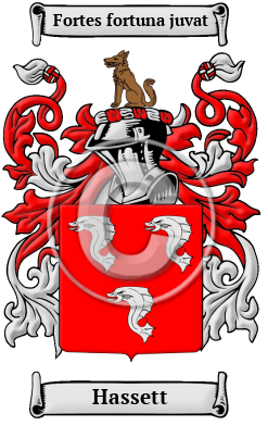 Hassett Family Crest/Coat of Arms