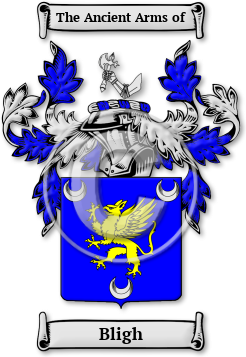 Bligh Family Crest Download (jpg) Legacy Series - 150 DPI