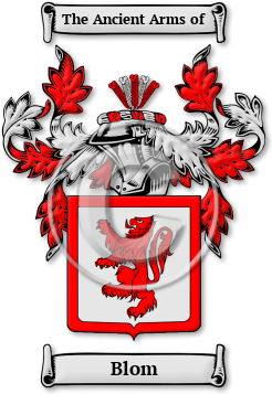 Blom Family Crest Download (jpg) Legacy Series - 150 DPI