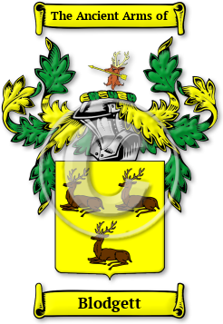 Blodgett Family Crest Download (jpg) Legacy Series - 150 DPI