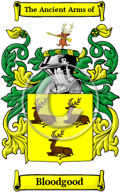 Bloodgood Family Crest Download (JPG) Heritage Series - 600 DPI