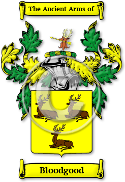 Bloodgood Family Crest Download (jpg) Legacy Series - 150 DPI