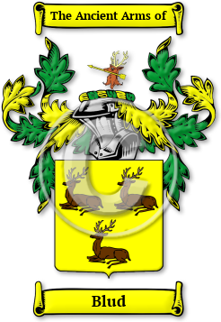 Blud Family Crest Download (jpg) Legacy Series - 150 DPI